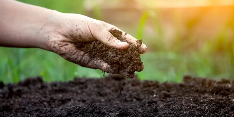soil In Devon