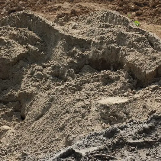 Building sand In Devon